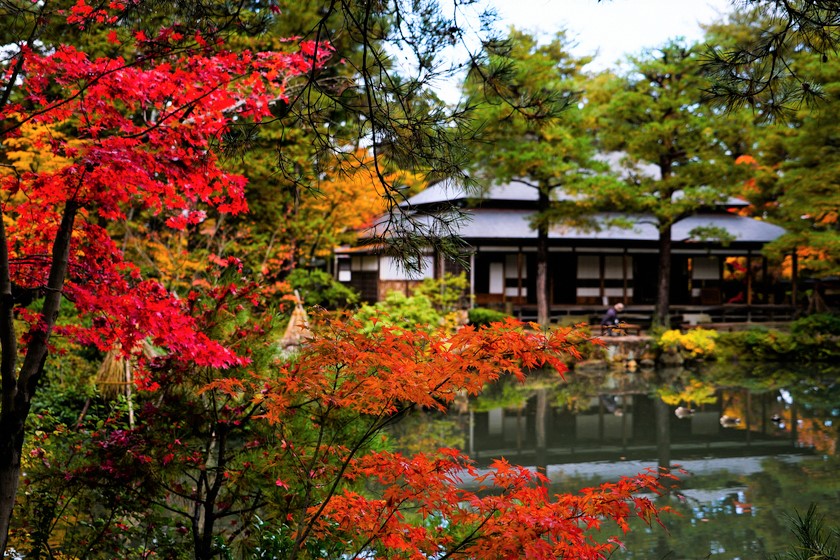 秋を満喫！大江戸温泉物語から行きたい紅葉スポット情報